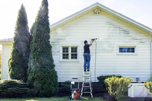 Trusted Catlin, IL Pressure washing Experts